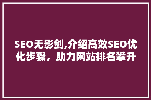 SEO无影剑,介绍高效SEO优化步骤，助力网站排名攀升  第1张