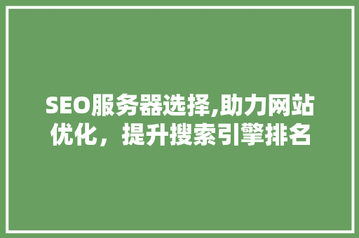 SEO服务器选择,助力网站优化，提升搜索引擎排名