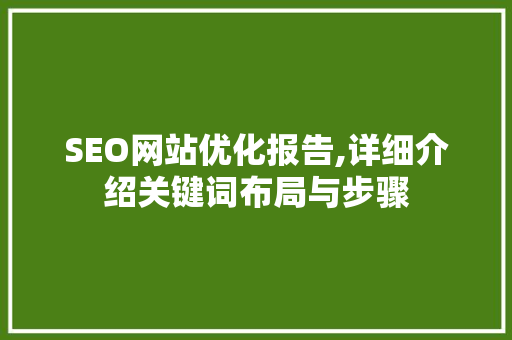 SEO网站优化报告,详细介绍关键词布局与步骤