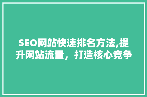 SEO网站快速排名方法,提升网站流量，打造核心竞争力