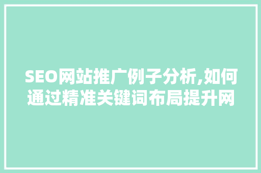 SEO网站推广例子分析,如何通过精准关键词布局提升网站流量与转化率