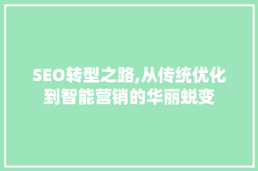 SEO转型之路,从传统优化到智能营销的华丽蜕变