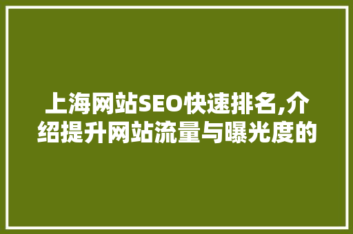 上海网站SEO快速排名,介绍提升网站流量与曝光度的方法