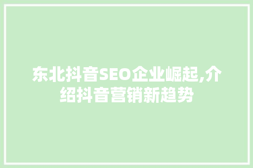 东北抖音SEO企业崛起,介绍抖音营销新趋势