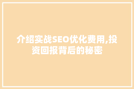 介绍实战SEO优化费用,投资回报背后的秘密