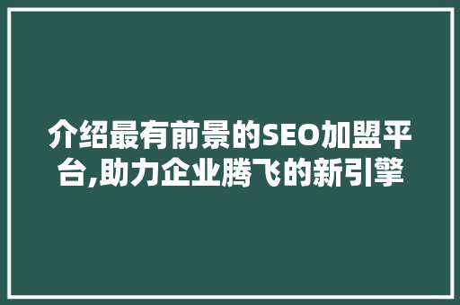 介绍最有前景的SEO加盟平台,助力企业腾飞的新引擎
