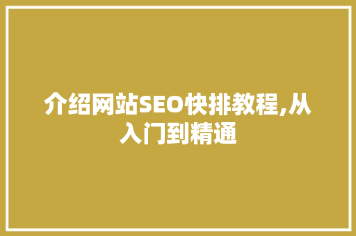 介绍网站SEO快排教程,从入门到精通