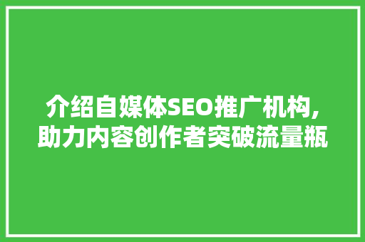 介绍自媒体SEO推广机构,助力内容创作者突破流量瓶颈  第1张