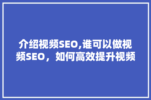 介绍视频SEO,谁可以做视频SEO，如何高效提升视频排名