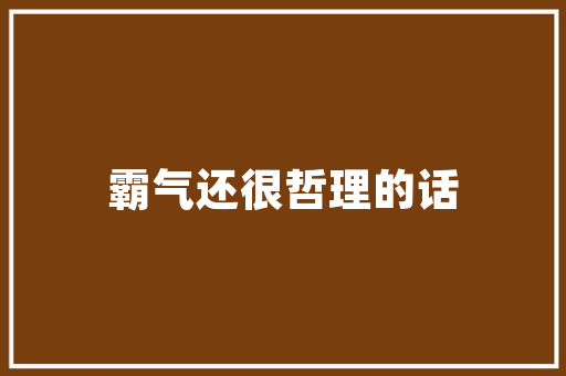 介绍青岛SEO行业佼佼者,哪家公司值得信赖