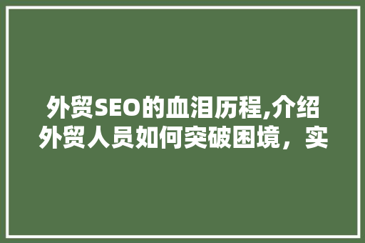 外贸SEO的血泪历程,介绍外贸人员如何突破困境，实现关键词优化