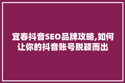 宜春抖音SEO品牌攻略,如何让你的抖音账号脱颖而出