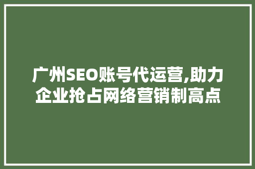 广州SEO账号代运营,助力企业抢占网络营销制高点