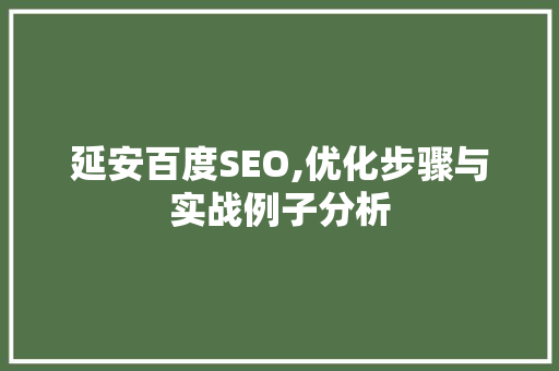 延安百度SEO,优化步骤与实战例子分析