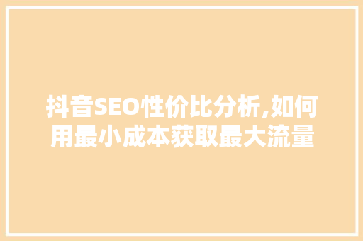 抖音SEO性价比分析,如何用最小成本获取最大流量
