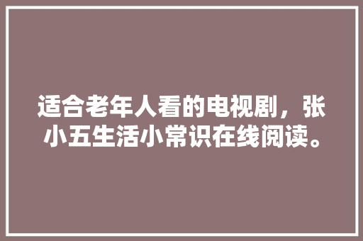 060代码技术革新背后的力量