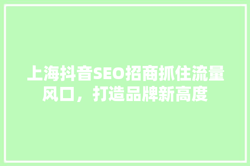 上海抖音SEO招商抓住流量风口，打造品牌新高度