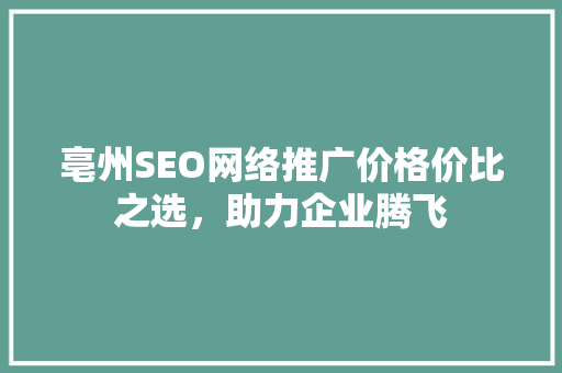 亳州SEO网络推广价格价比之选，助力企业腾飞