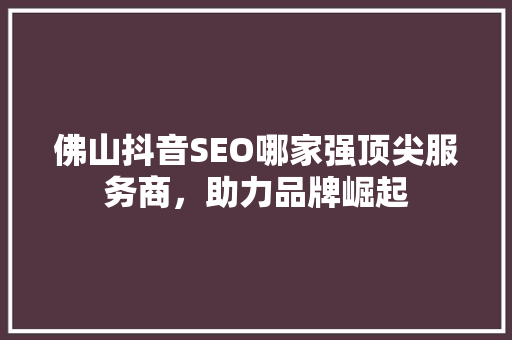 佛山抖音SEO哪家强顶尖服务商，助力品牌崛起