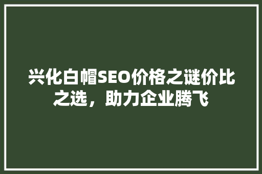 兴化白帽SEO价格之谜价比之选，助力企业腾飞