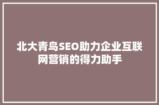 北大青鸟SEO助力企业互联网营销的得力助手  第1张