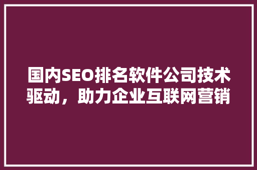 国内SEO排名软件公司技术驱动，助力企业互联网营销新高度