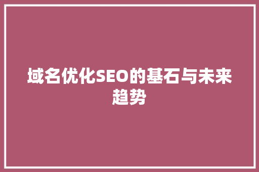 域名优化SEO的基石与未来趋势