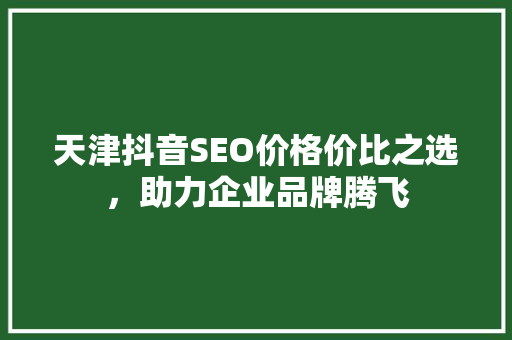 天津抖音SEO价格价比之选，助力企业品牌腾飞