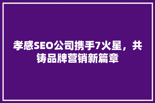 孝感SEO公司携手7火星，共铸品牌营销新篇章