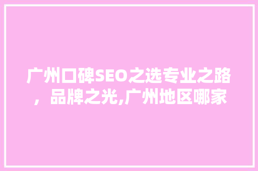 广州口碑SEO之选专业之路，品牌之光,广州地区哪家SEO服务商更胜一筹