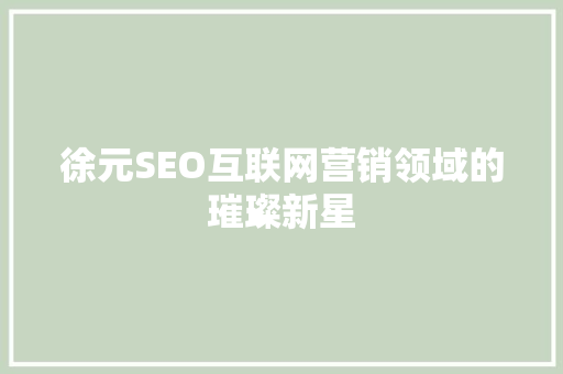 徐元SEO互联网营销领域的璀璨新星