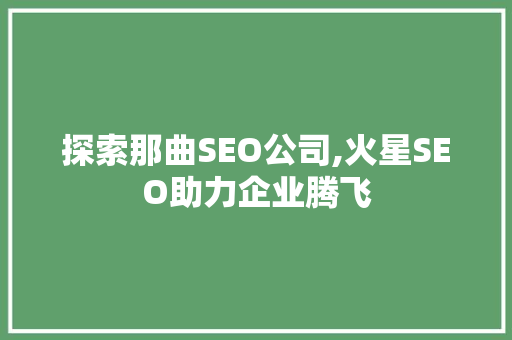 探索那曲SEO公司,火星SEO助力企业腾飞