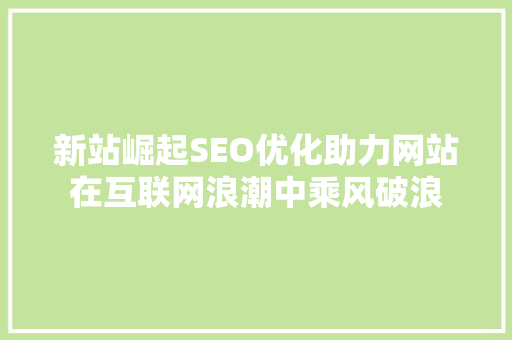 新站崛起SEO优化助力网站在互联网浪潮中乘风破浪