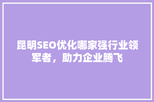 昆明SEO优化哪家强行业领军者，助力企业腾飞