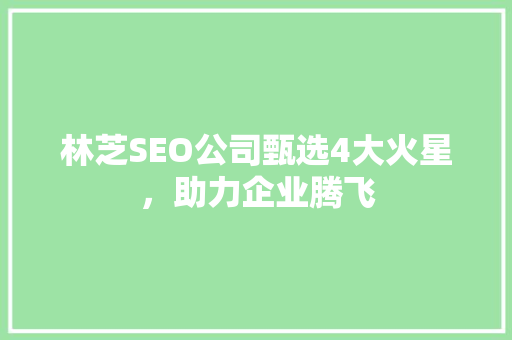 林芝SEO公司甄选4大火星，助力企业腾飞