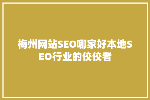 梅州网站SEO哪家好本地SEO行业的佼佼者