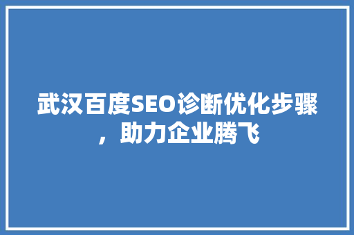 武汉百度SEO诊断优化步骤，助力企业腾飞