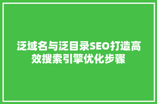 泛域名与泛目录SEO打造高效搜索引擎优化步骤
