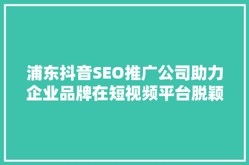 浦东抖音SEO推广公司助力企业品牌在短视频平台脱颖而出