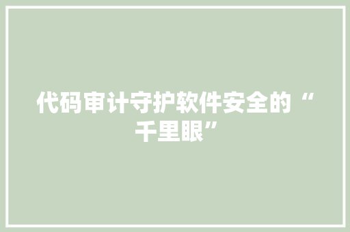 代码审计守护软件安全的“千里眼”