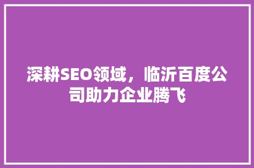 深耕SEO领域，临沂百度公司助力企业腾飞