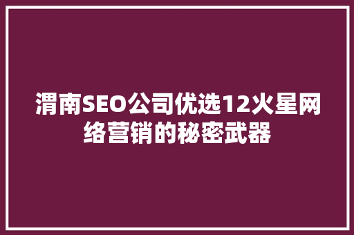渭南SEO公司优选12火星网络营销的秘密武器