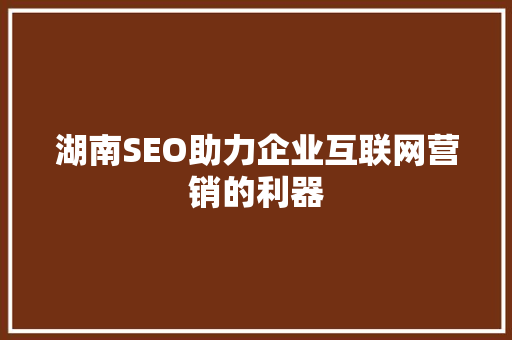 湖南SEO助力企业互联网营销的利器