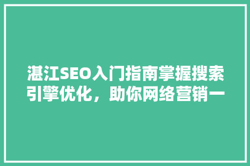 湛江SEO入门指南掌握搜索引擎优化，助你网络营销一臂之力  第1张