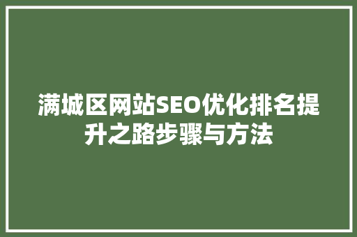满城区网站SEO优化排名提升之路步骤与方法