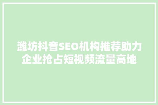 潍坊抖音SEO机构推荐助力企业抢占短视频流量高地
