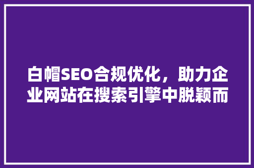 白帽SEO合规优化，助力企业网站在搜索引擎中脱颖而出