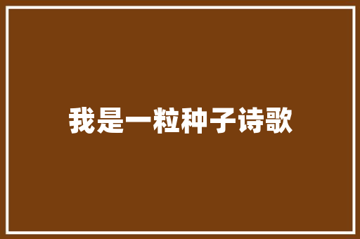 先导发债中国债市新动力，创新与突破的典范