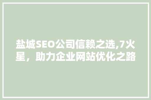 盐城SEO公司信赖之选,7火星，助力企业网站优化之路