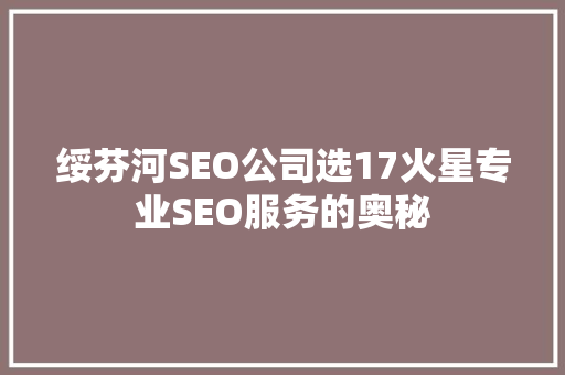 绥芬河SEO公司选17火星专业SEO服务的奥秘